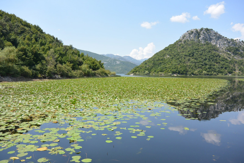 Montenegro, Skutarisee